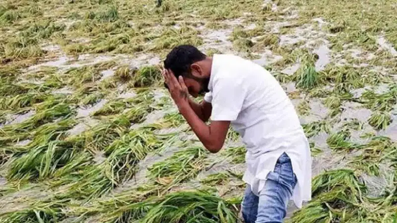 झारखंड में लगातार बारिश से फसल और घरों को नुकसान